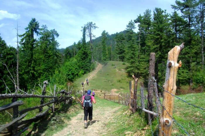 The Ridgeline Trek Shimla New